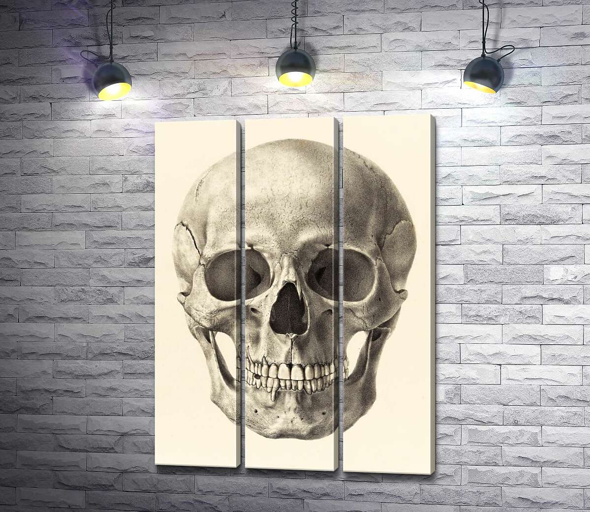 Модульная картина ArtPoster Анатомия в деталях: череп человека 132x184 см Модуль №11
Модульная картина ArtPoster Анатомия в деталях: череп человека 132x184 см Модуль №11
