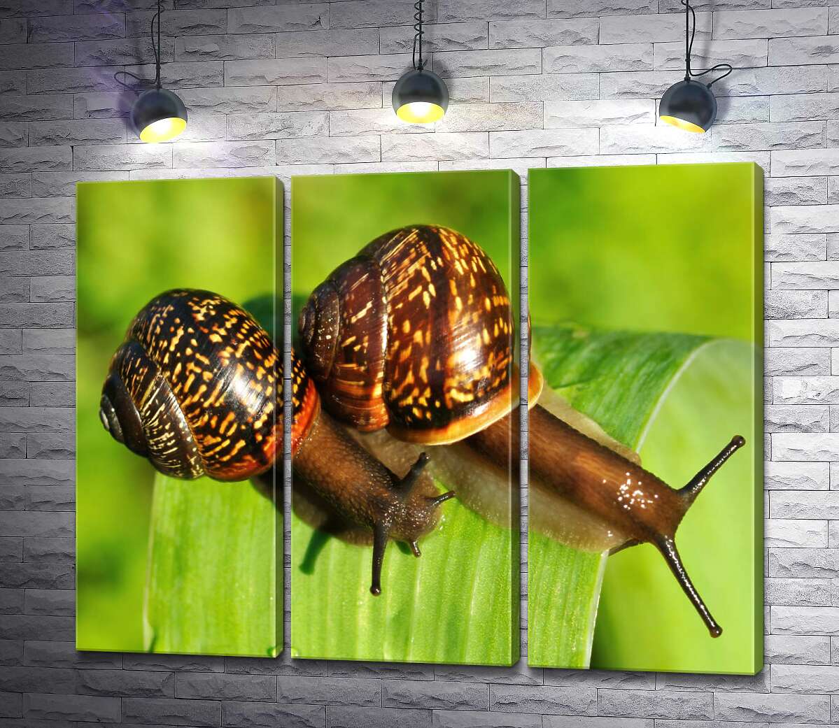 Модульная картина ArtPoster Две пятнистые улитки ползут по травинке 60x48 см Модуль №11
Модульная картина ArtPoster Две пятнистые улитки ползут по травинке 60x48 см Модуль №11