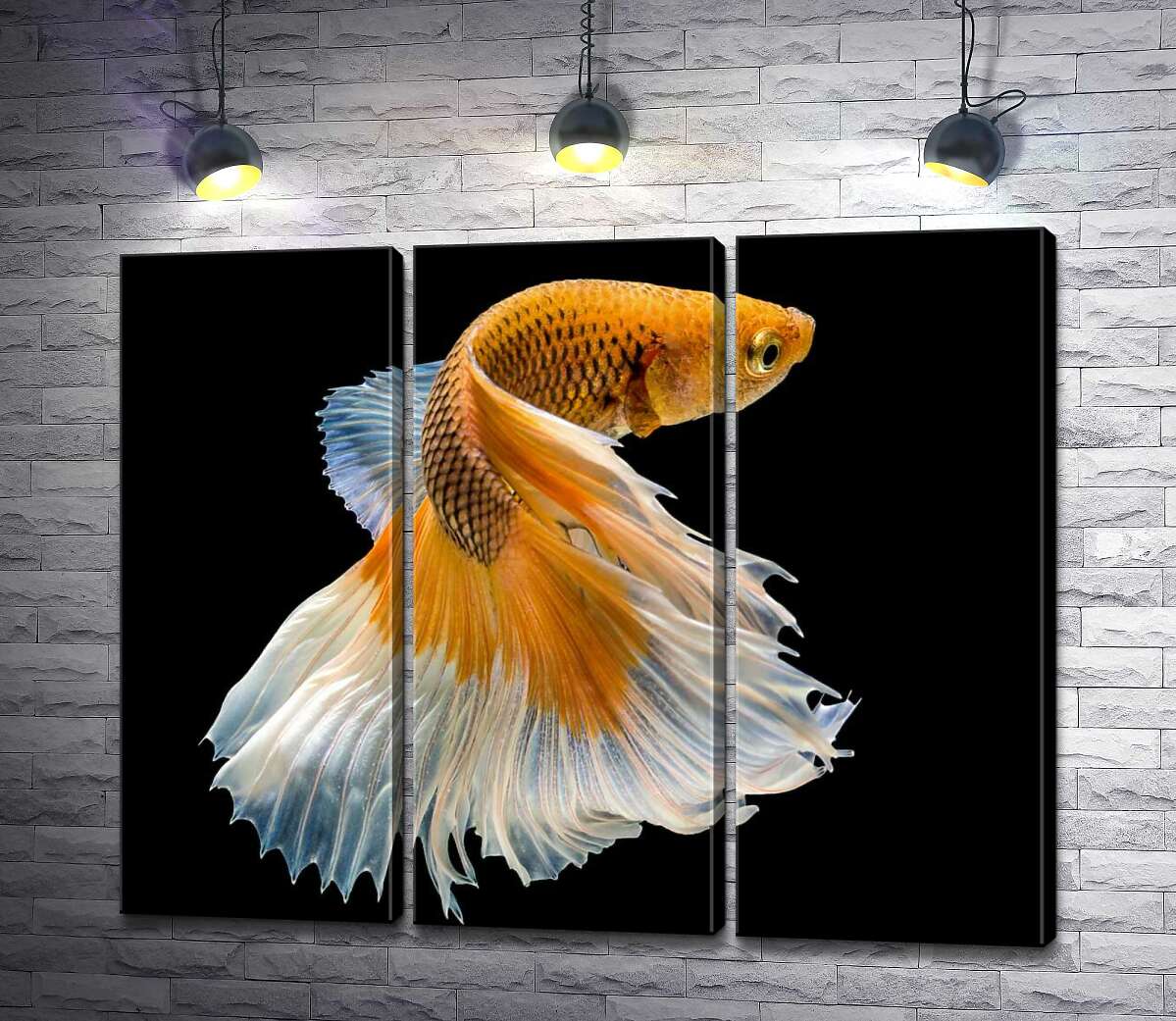 Модульная картина ArtPoster Золотая рыба-петушок с белым пышным хвостом 102x82 см Модуль №11
Модульная картина ArtPoster Золотая рыба-петушок с белым пышным хвостом 102x82 см Модуль №11
