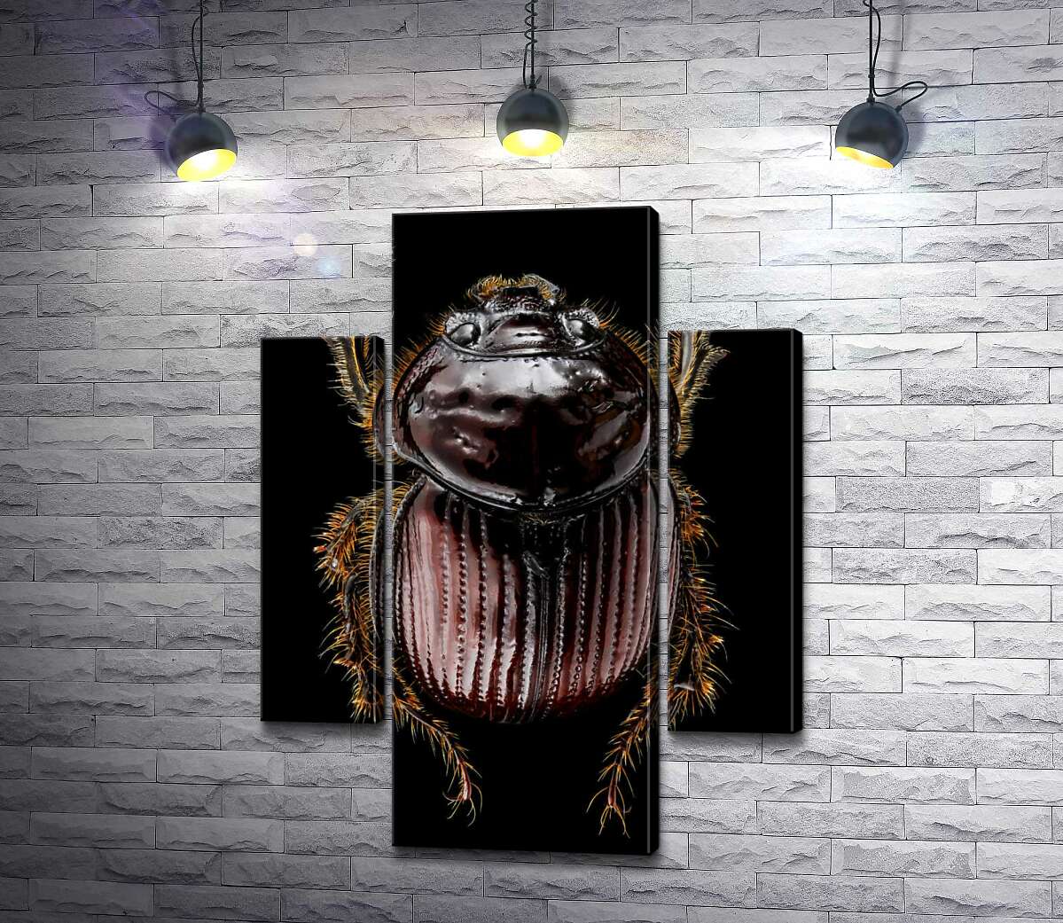 Модульная картина ArtPoster Коричневая поверхность панциря жука онтофага 131x174 см Модуль №7
Модульная картина ArtPoster Коричневая поверхность панциря жука онтофага 131x174 см Модуль №7