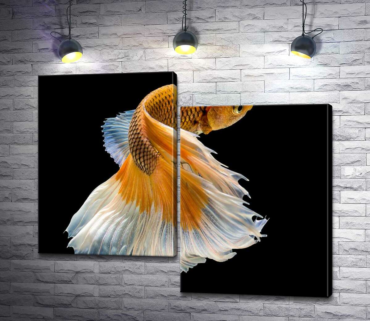 Модульная картина ArtPoster Золотая рыба-петушок с белым пышным хвостом 100x83 см Модуль №5
Модульная картина ArtPoster Золотая рыба-петушок с белым пышным хвостом 100x83 см Модуль №5