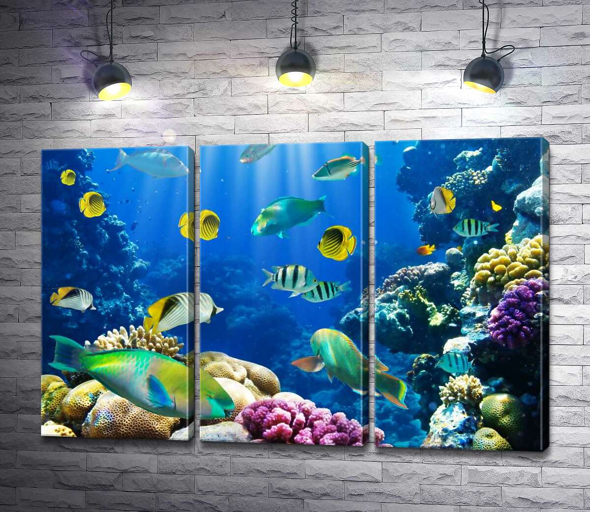 Модульная картина ArtPoster Красота подводного мира рыб и кораллов 132x87 см Модуль №11
Модульная картина ArtPoster Красота подводного мира рыб и кораллов 132x87 см Модуль №11