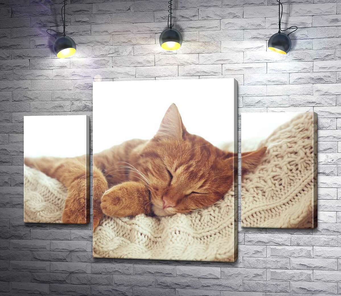 Модульная картина ArtPoster Кот мило отдыхает на белой подушке 80x55 см Модуль №7
Модульная картина ArtPoster Кот мило отдыхает на белой подушке 80x55 см Модуль №7