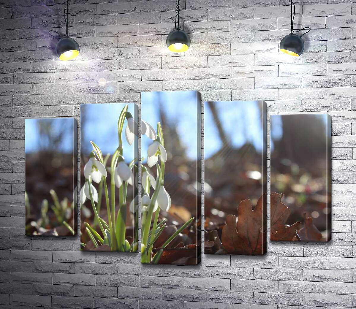 Модульная картина ArtPoster Подснежники греются в лучах весеннего солнца 130x88 см Модуль №26
Модульная картина ArtPoster Подснежники греются в лучах весеннего солнца 130x88 см Модуль №26
