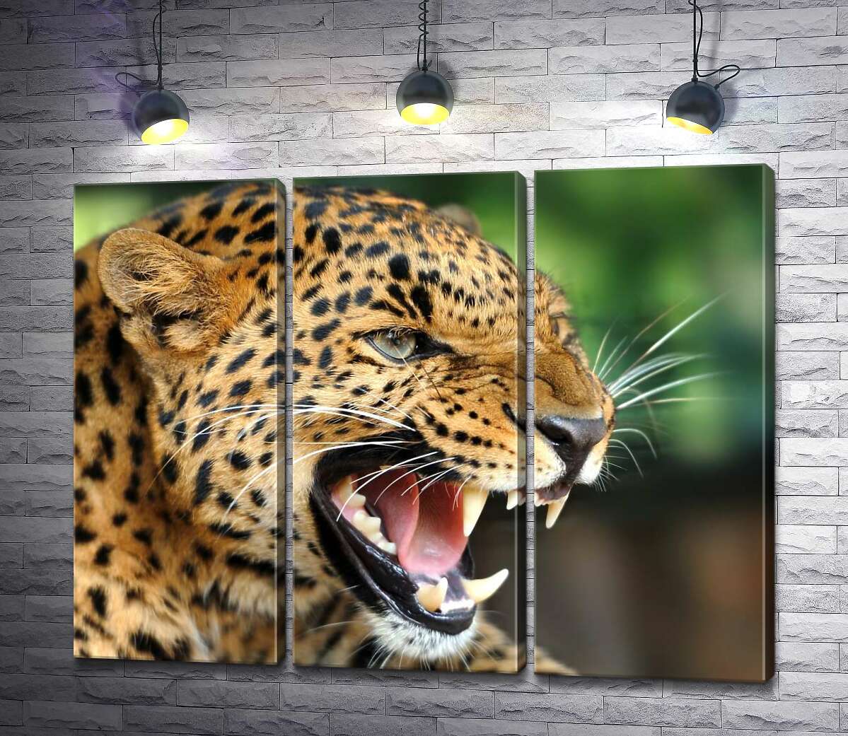 Модульная картина ArtPoster Разъяренный ягуар скалит зубы 102x79 см Модуль №11
Модульная картина ArtPoster Разъяренный ягуар скалит зубы 102x79 см Модуль №11