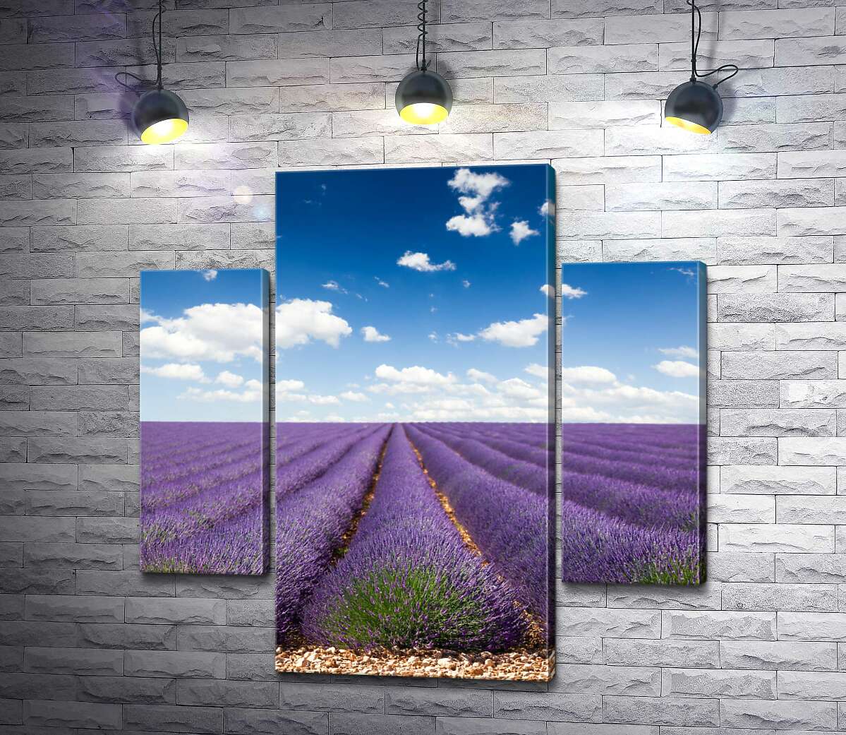 Модульная картина ArtPoster Пурпурные ряды благоухающей лаванды исчезают за горизонтом 100x100 см Модуль №7
Модульная картина ArtPoster Пурпурные ряды благоухающей лаванды исчезают за горизонтом 100x100 см Модуль №7