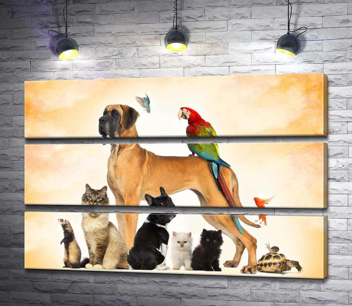Модульная картина ArtPoster Разнообразие пернатых и хвостатых домашних питомцев 130x84 см Модуль №13
Модульная картина ArtPoster Разнообразие пернатых и хвостатых домашних питомцев 130x84 см Модуль №13