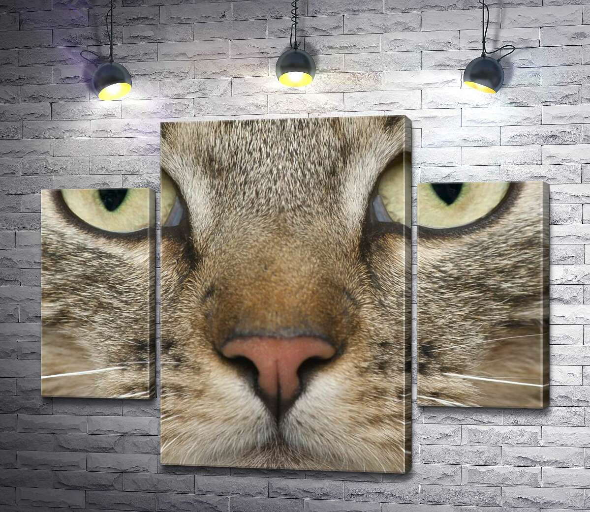 Модульная картина ArtPoster Сосредоточенный взгляд зеленых глаз кота 80x64 см Модуль №7
Модульная картина ArtPoster Сосредоточенный взгляд зеленых глаз кота 80x64 см Модуль №7