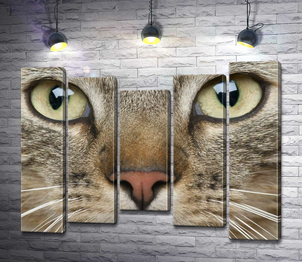 Модульная картина ArtPoster Сосредоточенный взгляд зеленых глаз кота 100x80 см Модуль №28
Модульная картина ArtPoster Сосредоточенный взгляд зеленых глаз кота 100x80 см Модуль №28