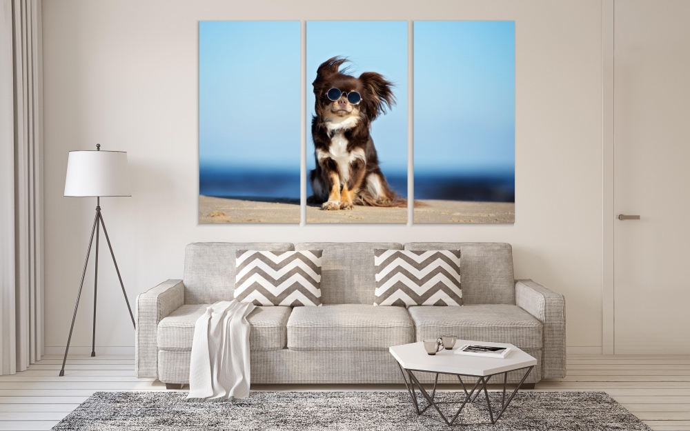 Картина на холсте Модульные Модульная картина Dog Posing With Glasses 3 картины 40х80 см.
Картина на холсте Модульные Модульная картина Dog Posing With Glasses 3 картины 40х80 см.