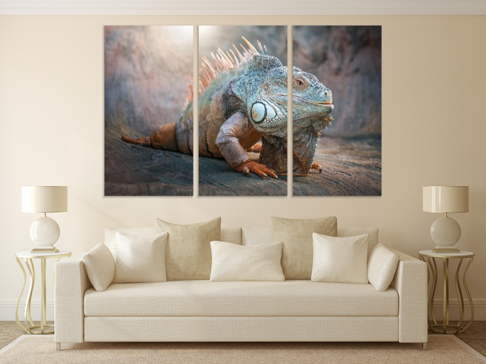 Картина на холсте Модульные Модульная картина Iguana Lizard In A Cave 3 картины 45х90 см.
Картина на холсте Модульные Модульная картина Iguana Lizard In A Cave 3 картины 45х90 см.