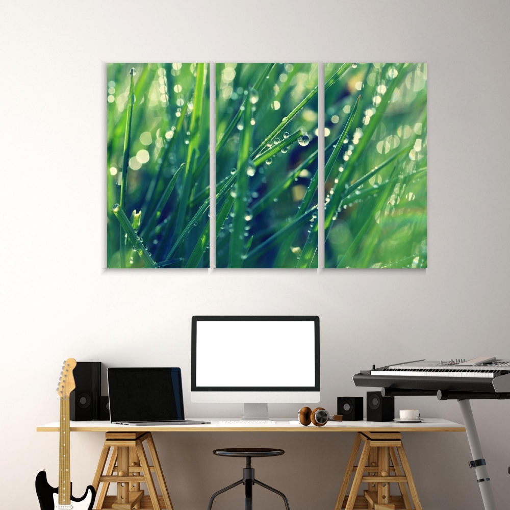 Картина на холсте Модульные Модульная картина Dew On Green Grass 3 картины 40х80 см.
Картина на холсте Модульные Модульная картина Dew On Green Grass 3 картины 40х80 см.