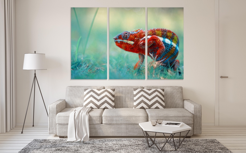 Картина на холсте Модульные Модульная картина Multicolored Chameleon 3 картины 70х140 см.
Картина на холсте Модульные Модульная картина Multicolored Chameleon 3 картины 70х140 см.