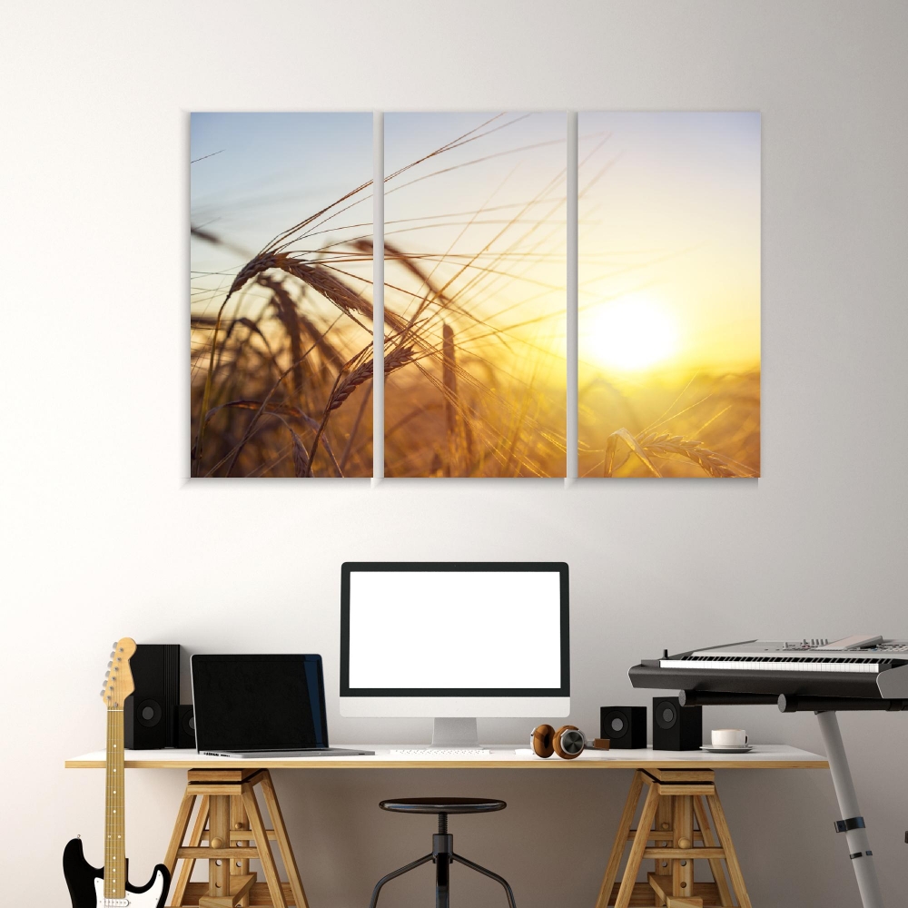 Картина на холсте Модульные Модульная картина Ear Of Golden Wheat 3 картины 30х60 см.
Картина на холсте Модульные Модульная картина Ear Of Golden Wheat 3 картины 30х60 см.