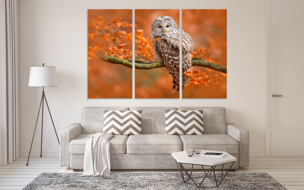 Картина на холсте Модульные Модульная картина Owl Landing In Autumnal Forest 3 картины 40х80 см.
Картина на холсте Модульные Модульная картина Owl Landing In Autumnal Forest 3 картины 40х80 см.