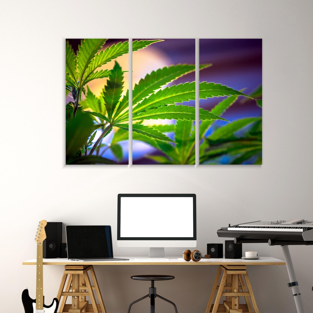 Картина на холсте Модульные Модульная картина Cannabis Leaf 3 картины 30х60 см.
Картина на холсте Модульные Модульная картина Cannabis Leaf 3 картины 30х60 см.