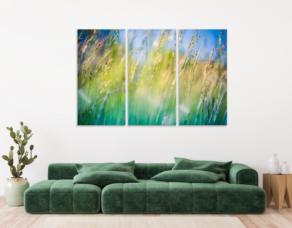 Картина на холсте Модульные Модульная картина Meadow Flowers 3 картины 30х60 см.
Картина на холсте Модульные Модульная картина Meadow Flowers 3 картины 30х60 см.