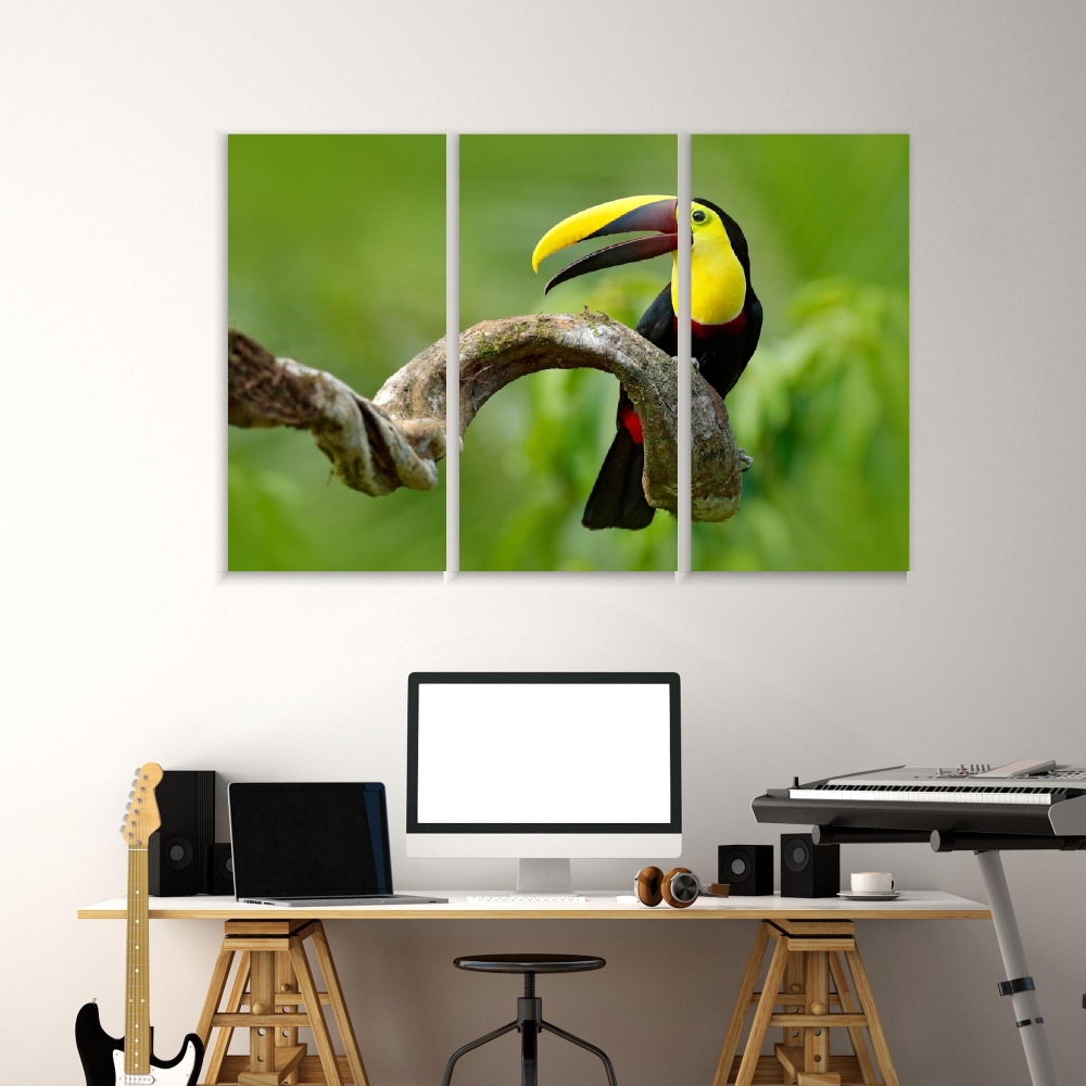 Картина на холсте Модульные Модульная картина Toucan Sits On A Branch 3 картины 70х140 см.
Картина на холсте Модульные Модульная картина Toucan Sits On A Branch 3 картины 70х140 см.