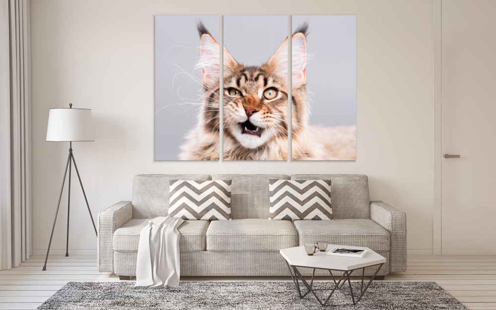 Картина на холсте Модульные Модульная картина Cute Maine Coon Kitten 3 картины 45х90 см.
Картина на холсте Модульные Модульная картина Cute Maine Coon Kitten 3 картины 45х90 см.