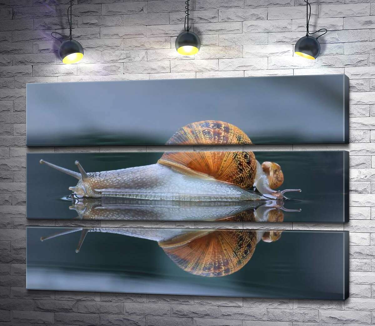 Модульная картина ArtPoster Водянисто-прозрачные улитки после дождя 100x69 см Модуль №13
Модульная картина ArtPoster Водянисто-прозрачные улитки после дождя 100x69 см Модуль №13