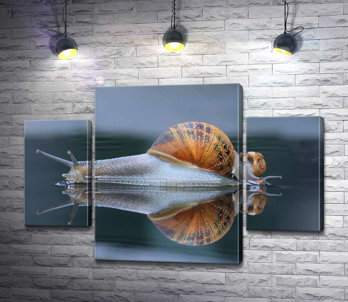 Модульная картина ArtPoster Водянисто-прозрачные улитки после дождя 80x54 см Модуль №7
Модульная картина ArtPoster Водянисто-прозрачные улитки после дождя 80x54 см Модуль №7