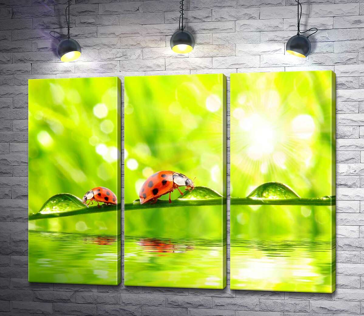 Модульная картина ArtPoster Божьи коровки пьют из капель утренней росы 132x101 см Модуль №11
Модульная картина ArtPoster Божьи коровки пьют из капель утренней росы 132x101 см Модуль №11