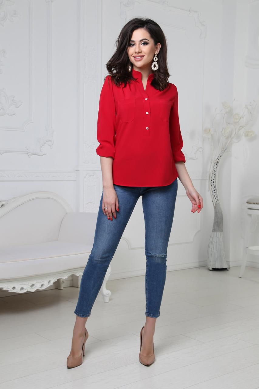 Блузка женская Fashion Girl "Sellin" - красный, Блузка женская Fashion Girl "Sellin" 42-44 красный
Блузка женская Fashion Girl "Sellin" - красный, Блузка женская Fashion Girl "Sellin" 42-44 красный