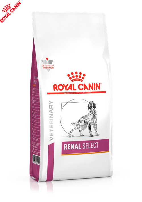 Сухой корм Royal Canin Renal Select Dog - для собак при почечной недостаточности 10 кг (41620209)
Сухой корм Royal Canin Renal Select Dog - для собак при почечной недостаточности 10 кг (41620209)