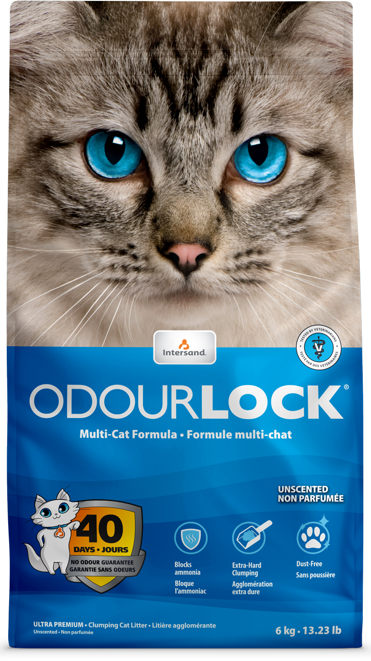 Наполнитель для кошачьего туалета Intersand Odourlock Бентонитовый комкующийся (5.9 л) 6 кг (777979211064)
Наполнитель для кошачьего туалета Intersand Odourlock Бентонитовый комкующийся (5.9 л) 6 кг (777979211064)