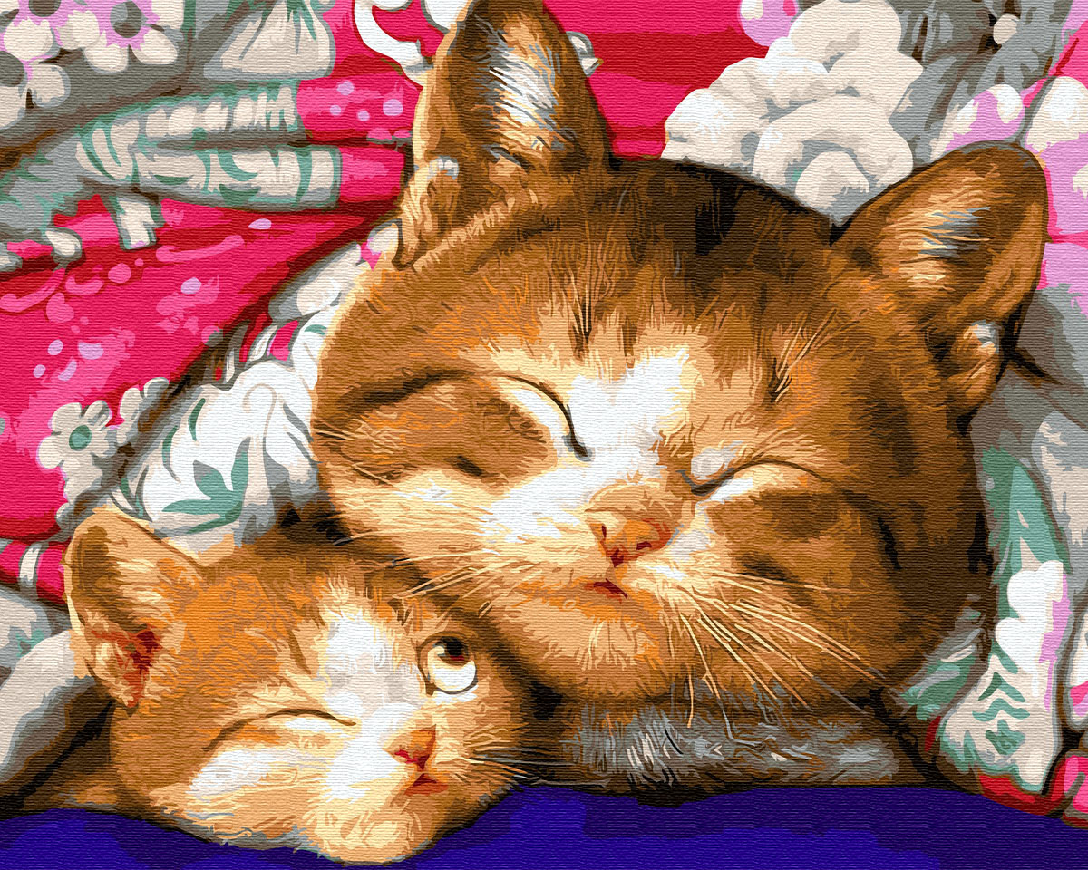 Картина по номерам Rainbow Art Котенок с мамой 40*50 см (без коробки) арт.BK-GX9765
Картина по номерам Rainbow Art Котенок с мамой 40*50 см (без коробки) арт.BK-GX9765