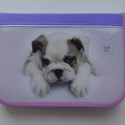 Пенал CLASS "Dog", 1 отделение, 2 отворота, нежно-фиолетовый, без наполнения, 95026
Пенал CLASS "Dog", 1 отделение, 2 отворота, нежно-фиолетовый, без наполнения, 95026