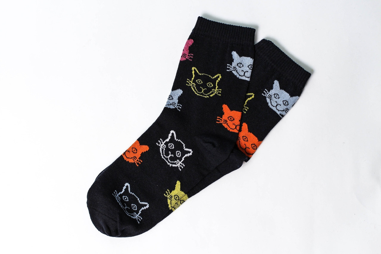 Носки Rock'n'socks Коты цветные синие, Носки Rock'n'socks Коты цветные синие 36-42
Носки Rock'n'socks Коты цветные синие, Носки Rock'n'socks Коты цветные синие 36-42