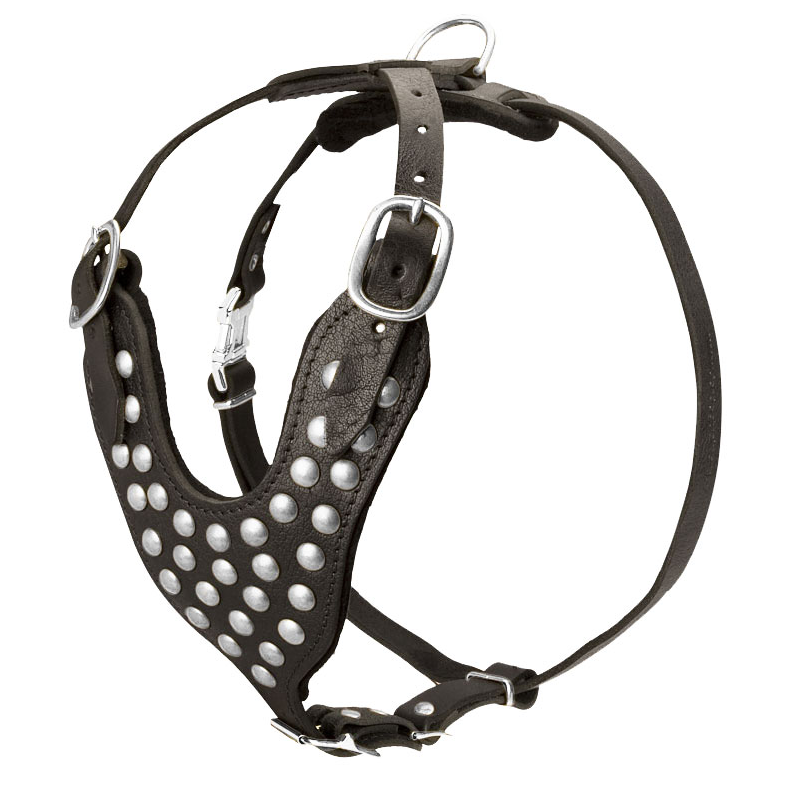 Прогулочная шлейка с заклепками (ld058) Lockdog XL (56-70 см) Черный 000139366
Прогулочная шлейка с заклепками (ld058) Lockdog XL (56-70 см) Черный 000139366