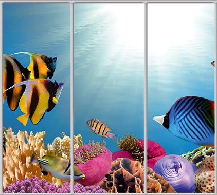 Шкаф купе Luxe Studio Стандарт-1 Фотопечать Море-55 2100x2300x600 трехдверный 
Шкаф купе Luxe Studio Стандарт-1 Фотопечать Море-55 2100x2300x600 трехдверный