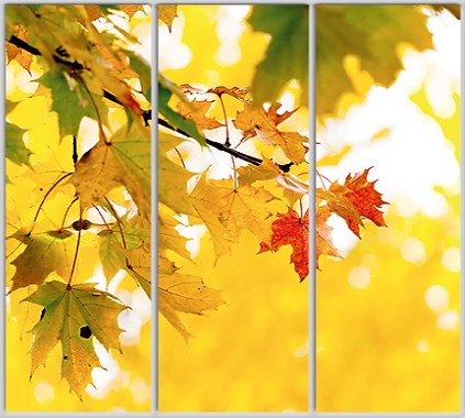Шкаф купе Luxe Studio Стандарт-1 Фотопечать Природа-201 2100x2200x600 трехдверный
Шкаф купе Luxe Studio Стандарт-1 Фотопечать Природа-201 2100x2200x600 трехдверный