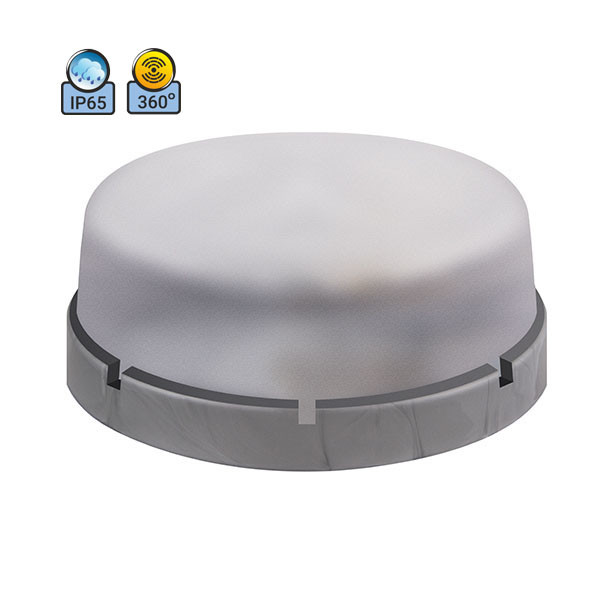 Светильник потолочный ERKA 1065D.i-S IP65 прозрачный/серебро с микроволновым датчиком движения
Светильник потолочный ERKA 1065D.i-S IP65 прозрачный/серебро с микроволновым датчиком движения