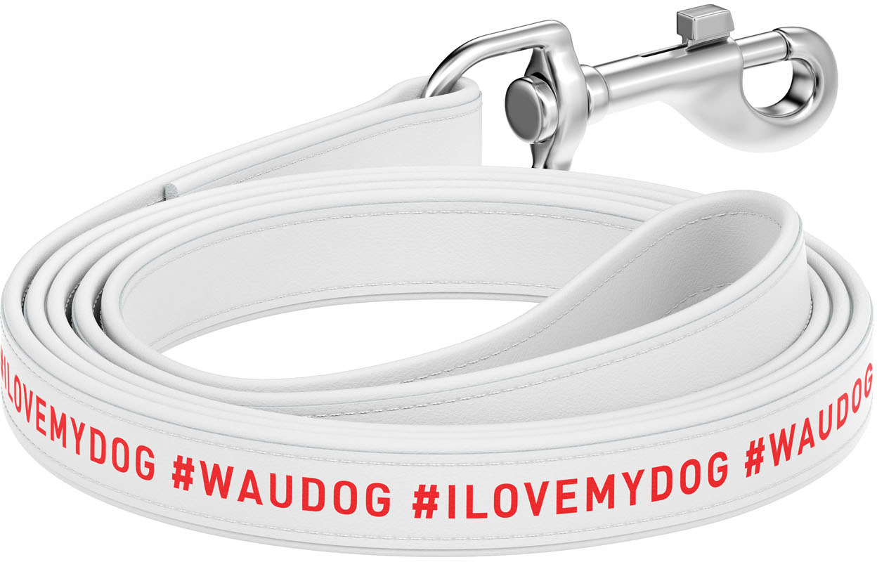 Поводок для собак кожаный Collar WAUDOG Design, рисунок "я люблю свою собаку", XS, Ш 12 мм, Дл 122 см (379815)
Поводок для собак кожаный Collar WAUDOG Design, рисунок "я люблю свою собаку", XS, Ш 12 мм, Дл 122 см (379815)