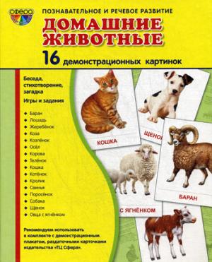 Демонстрационные картинки Супер. Домашние животные. 16 демонстрационных картинок с текстом
Демонстрационные картинки Супер. Домашние животные. 16 демонстрационных картинок с текстом