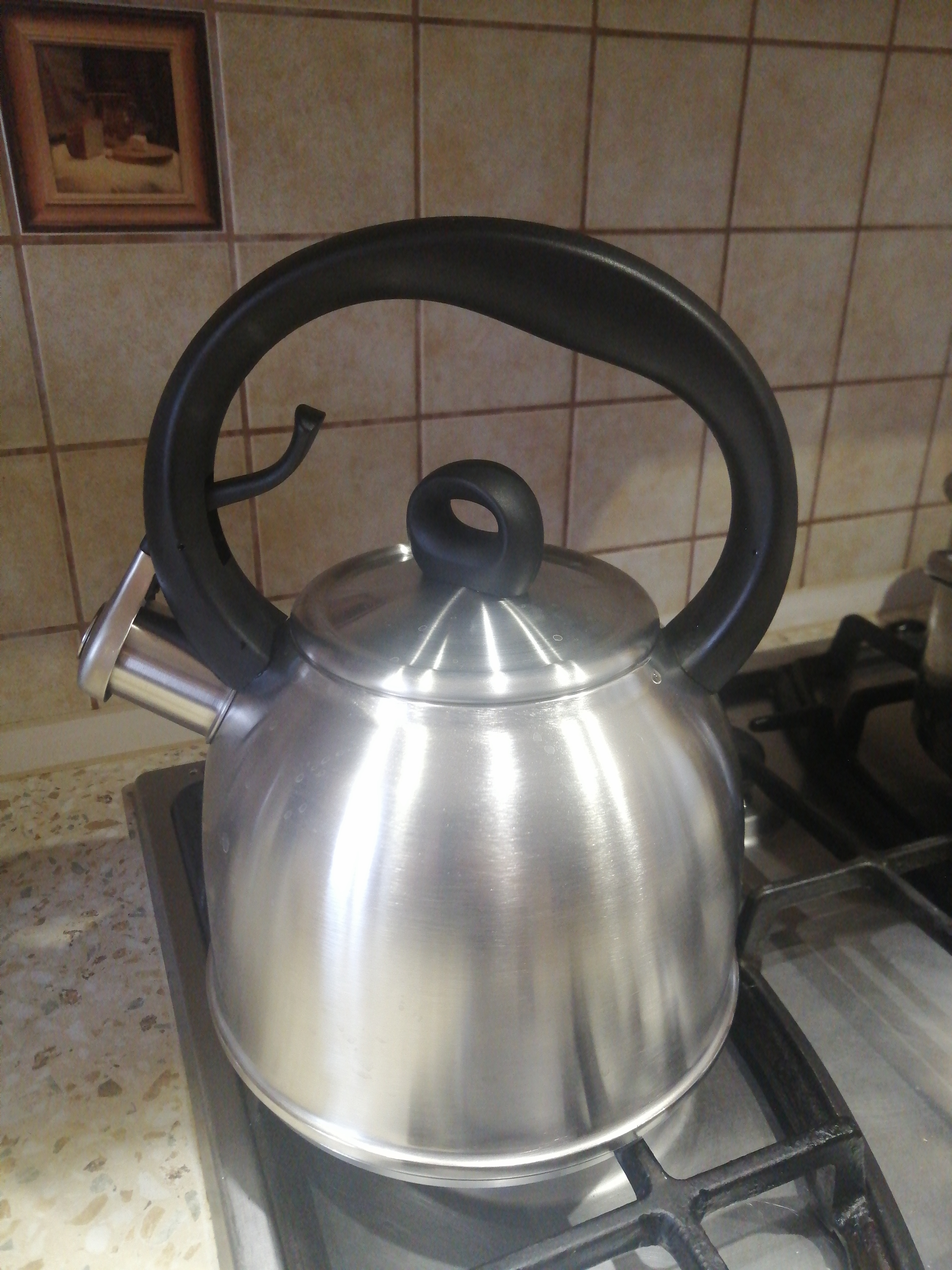 Berghoff Essentials Cami 18/10 Stainless Steel Whistling Kettle