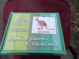Доман. Карточки. МОЙ ПЕРВЫЙ ЧЕМОДАН”. На русском языке. Подарочный набор карточек. фото от покупателей 3