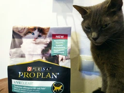 Сухий корм для кошенят Purina Pro Plan LiveClear Kitten Turkey з індичкою 1.4 кг фото від покупців 18