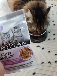 Вологий корм для кошенят Purina Pro Plan Kitten Healthy Start шматочки в паштеті з індичкою 75 г (77653) фото від покупців 12