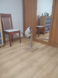 Дряпки (когтеточка) Природа Д00 стовпчик 53 cм Бежева (4820157402771)