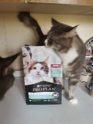 Сух.корм PRO PLAN LiveClear Sterilised Adult для стерил.котов, с лос.1,4 кг(7613287232700) фото от покупателей 17