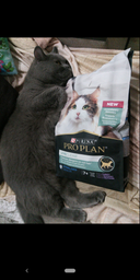 Сухий повнораціонний корм для стерилізованих котів старше 7 років Purina Pro Plan LiveClear для зменшення алергенів на шерсті з індичкою 1.4 кг фото від покупців 14