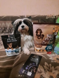 Сухой корм Purina Pro Plan Duo Delice Adult Small and Mini с говядиной для взрослых собак мелких пород 2,5кг фото от покупателей 17