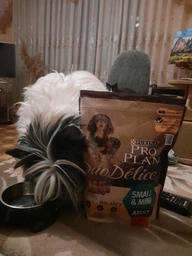Сухой корм Purina Pro Plan Duo Delice Adult Small and Mini с говядиной для взрослых собак мелких пород 2,5кг фото от покупателей 16