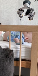 Мультифункциональный мобиль 3 в 1 Tiny Love Ночная лужайка