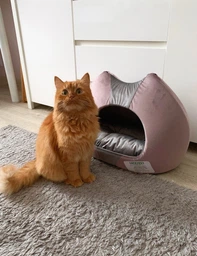 Будка для кошек Lucky Pet Тифани №1 30х40х40 см (4820224211121) фото от покупателей 1