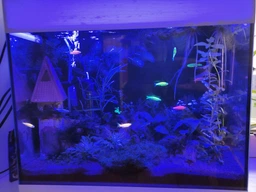 LED светильник Xilong T4-40E Blue 3Вт 35 см Синий фото от покупателей 2